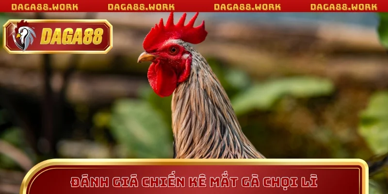 Đánh giá chiến kê mắt gà chọi lì DAGA88